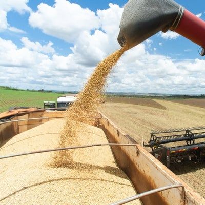 Soja está por debajo de máximos de 17 meses mientras operadores evalúan demanda